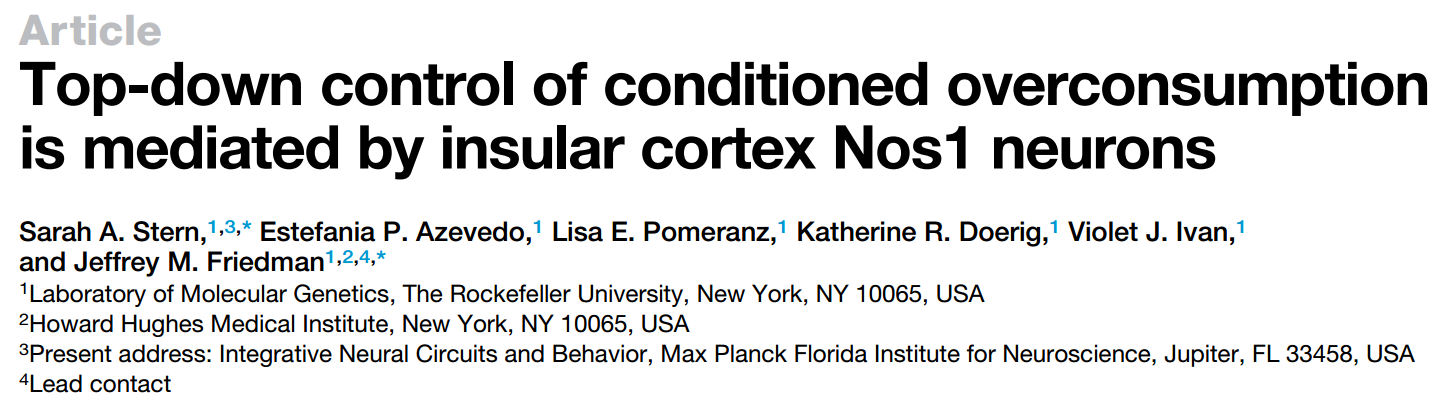 Cell Metabolism：暴饮暴食有什么危害？引发肥胖还威胁健康！