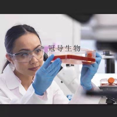 H1522 Cells;人肺癌扩增细胞|STR鉴定图谱