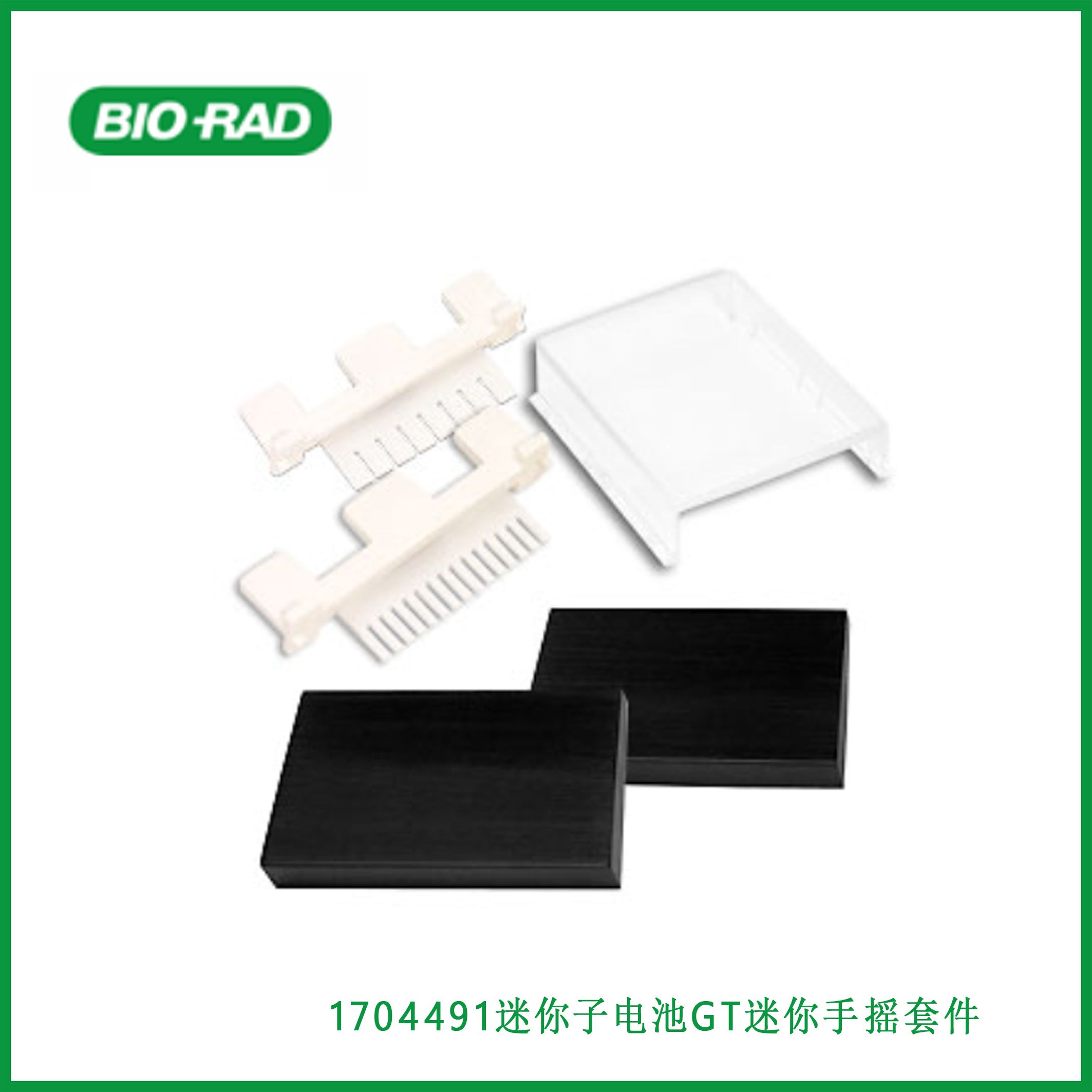伯乐Bio-Rad1704491Mini-Sub Cell GT Mini Handcasting Kit, 迷你子电池GT迷你手摇套件，现货