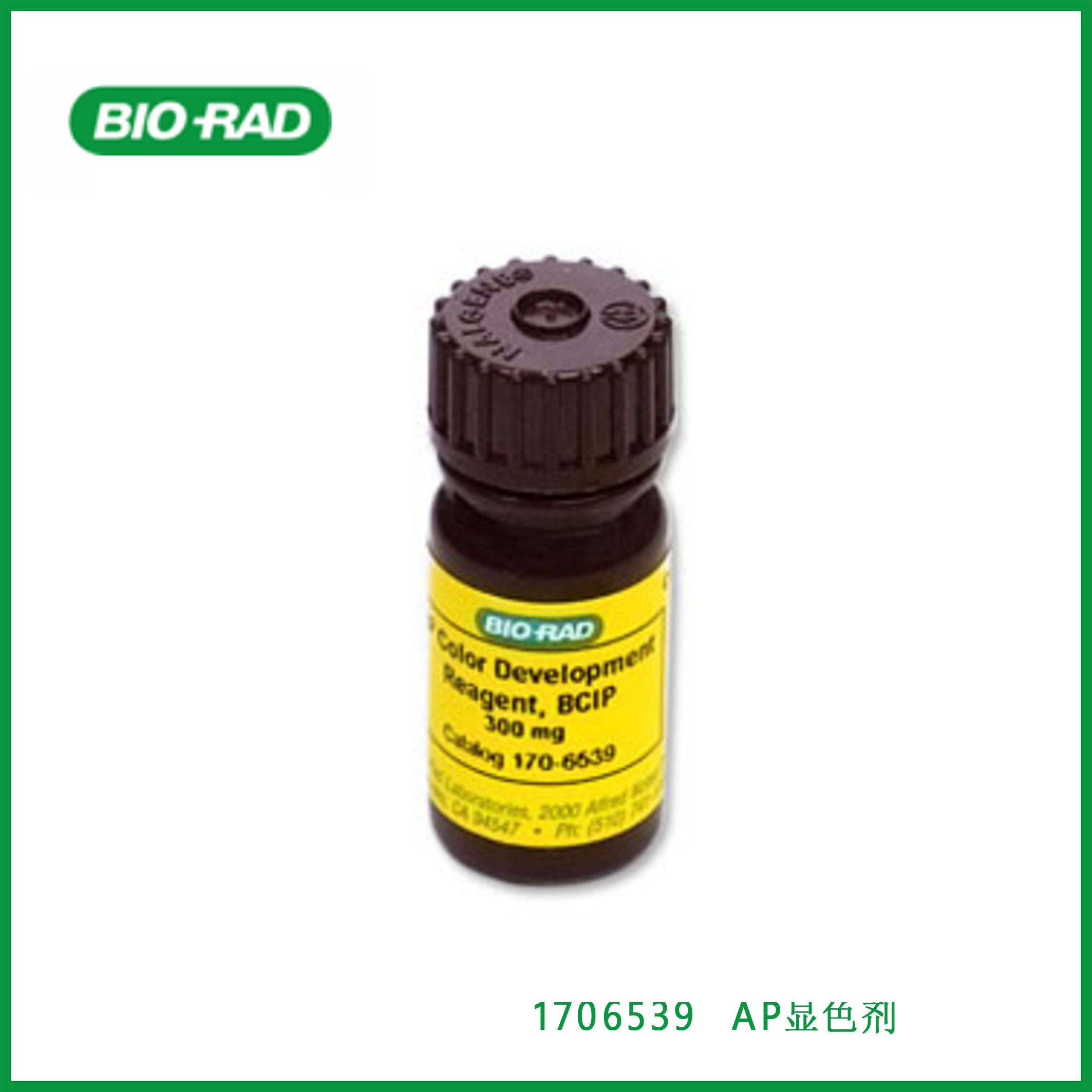 伯乐Bio-Rad1706539 AP Color Development Reagent，AP显色剂，现货