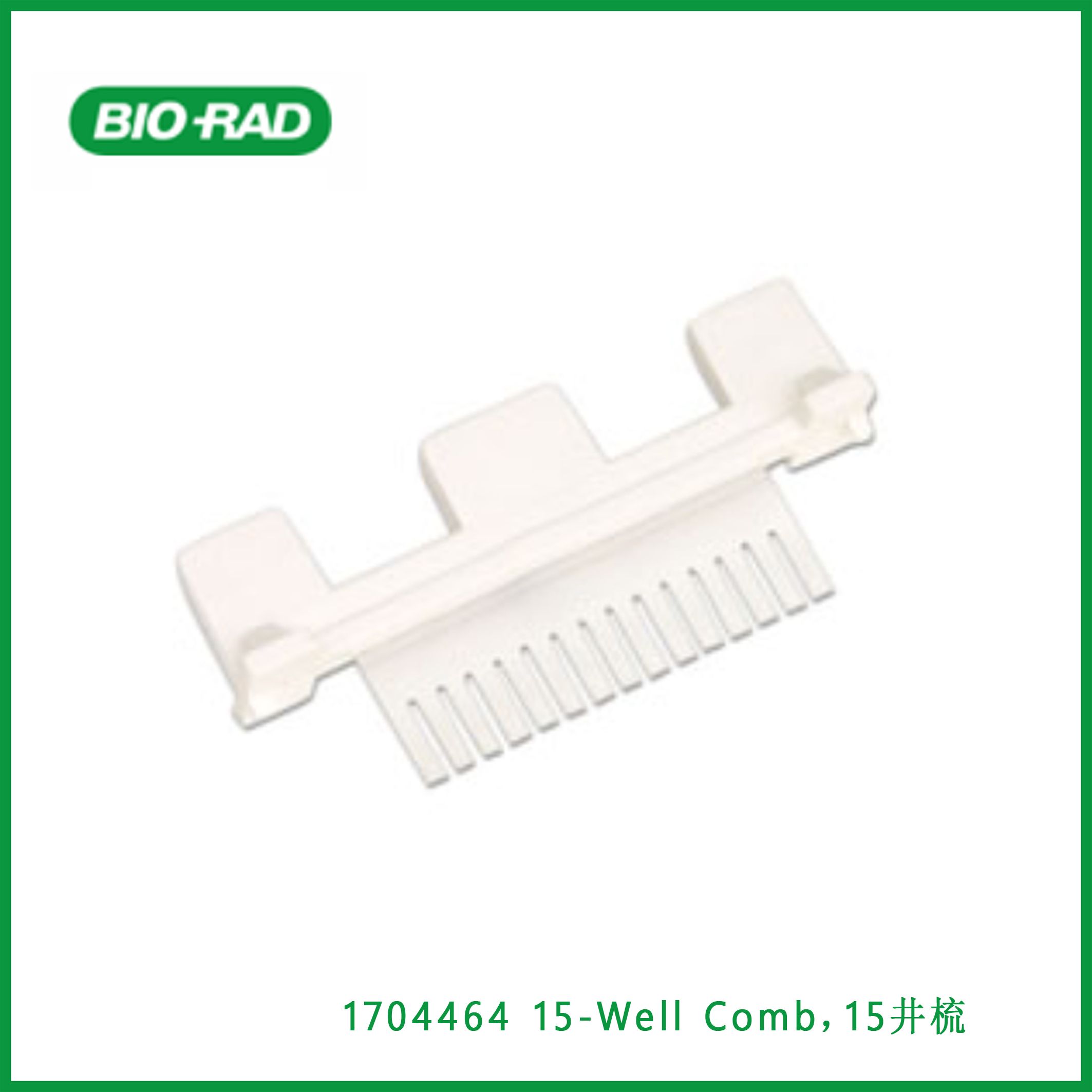 伯乐Bio-Rad1704464 15-Well Comb，15井梳，现货