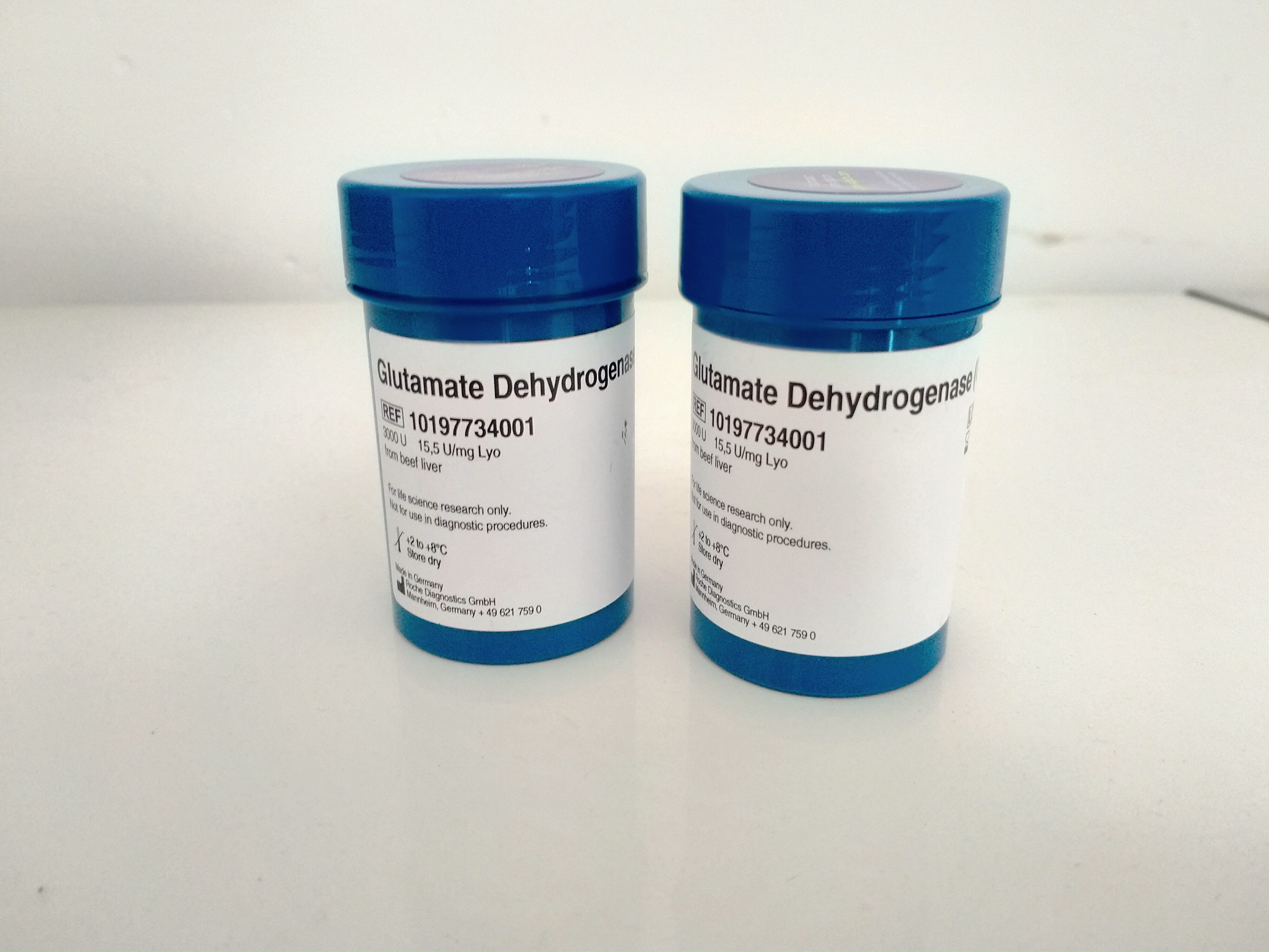 谷氨酸脱氢酶(GlDH)/ Glutamate Dehydr