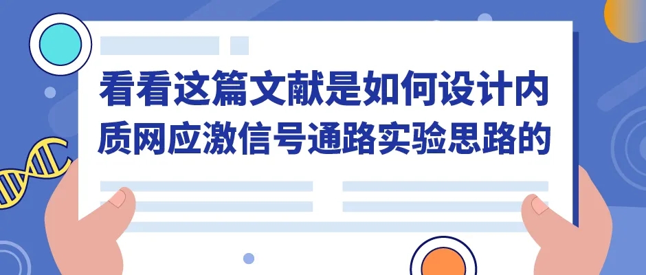 内质网应激信号通路实验的设置方法