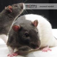 动物行为学综合解决方案