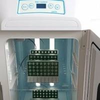 果蝇行为监测系统