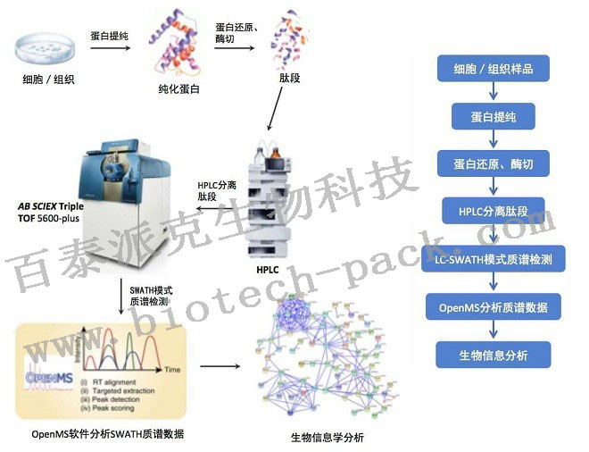 SWATH定量蛋白组学服务