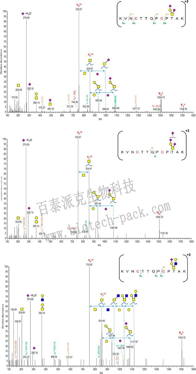 糖基化位点及该位点糖型分析