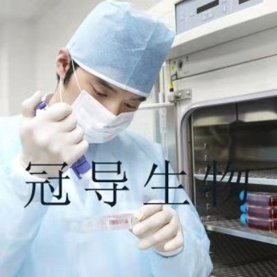 Tokyo Medical and Dental university 8 Cells;人弥漫大B淋巴瘤扩增细胞|STR鉴定图谱