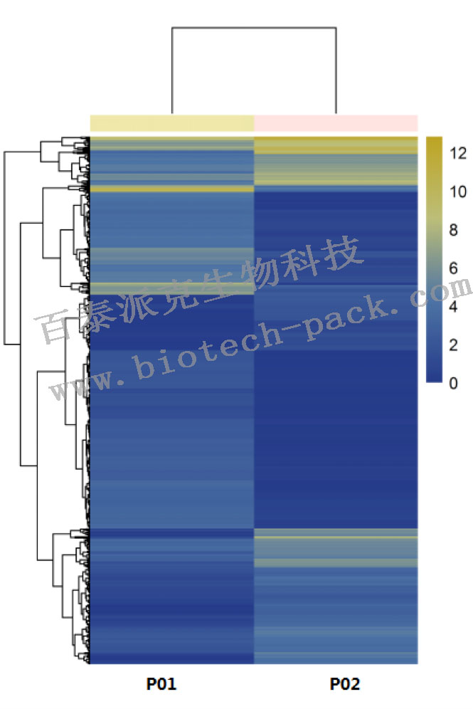 差异表达蛋白质的聚类分析