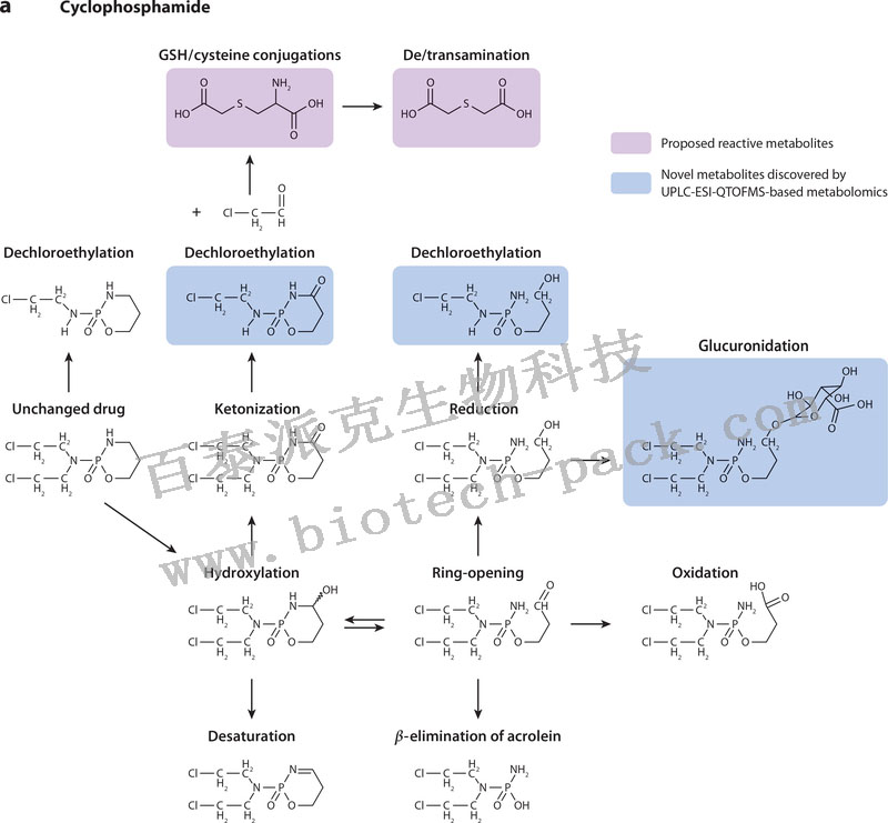 外源性代谢物分析服务