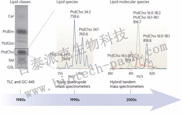 非靶向脂质组学