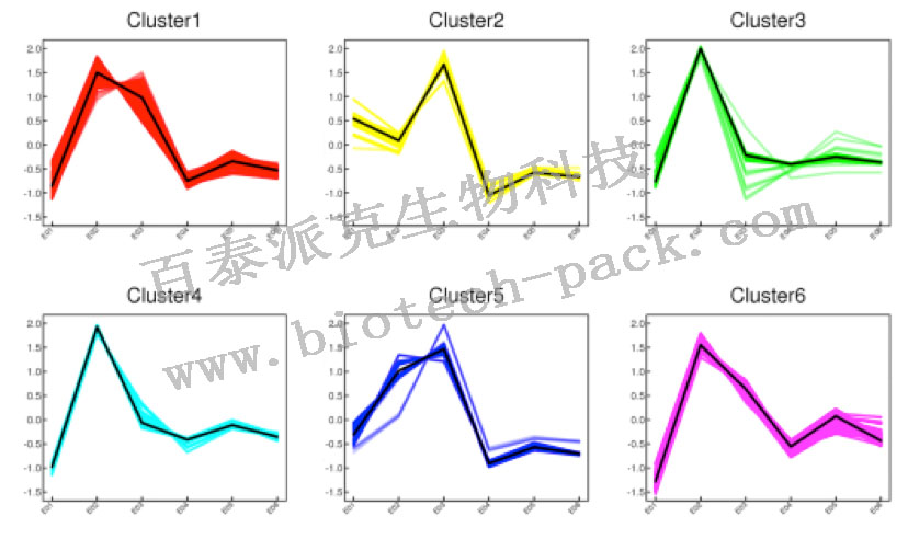 差异表达蛋白质的聚类分析