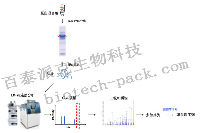 技术资料图片1