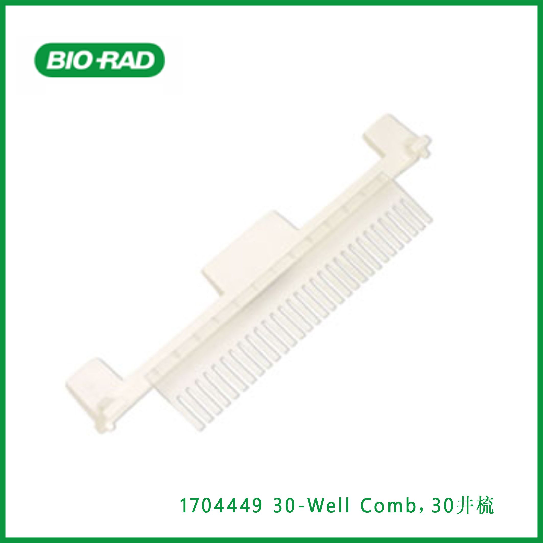 伯乐Bio-Rad1704449 30-Well Comb，30井梳，现货