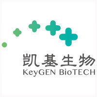 8%预制胶(205 - 24 kDa分离范围;12个样/胶)KGMG008W12