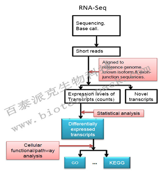 技术资料图片1