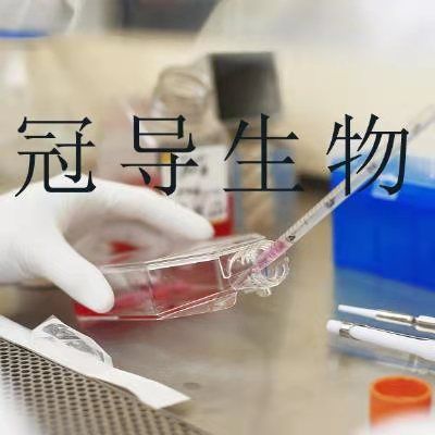 HCC0015 Cells;人肺癌扩增细胞|STR鉴定图谱