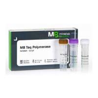 MB Taq聚合酶1 Unit/µl 浓度