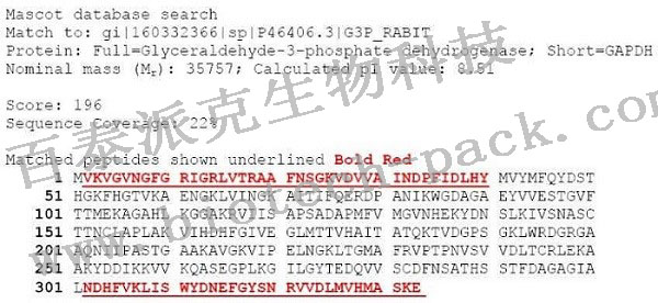 生物制药N/C端测序
