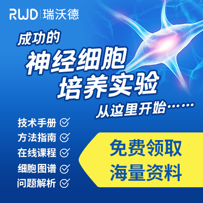 资料免费领 | 神经细胞培养实验