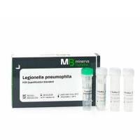 支原体PCR绝对定量标准品