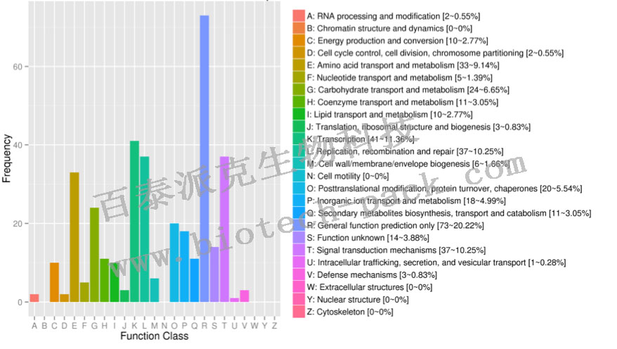 蛋白质的COG功能注释