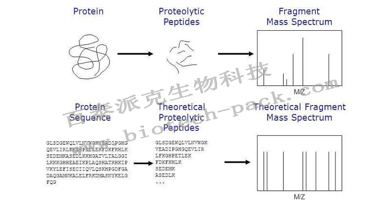 技术资料图片1