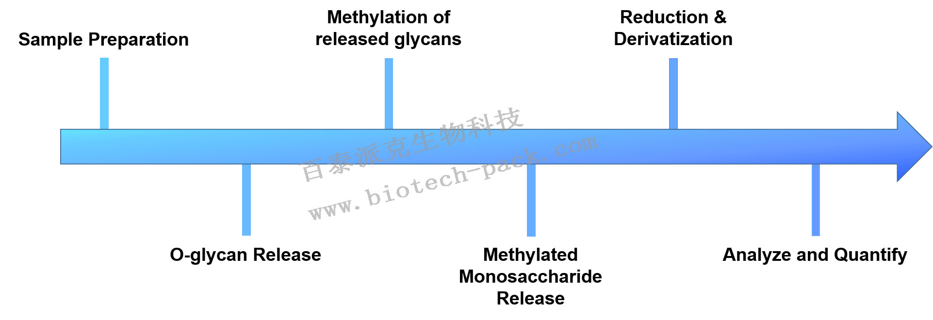 O糖修饰及修饰位点分析服务
