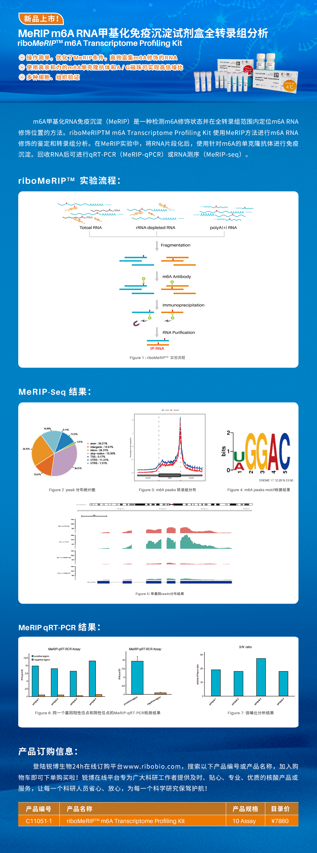 m6A甲基化RNA免疫沉淀有高招，新品试剂盒全面助力m6A研究！