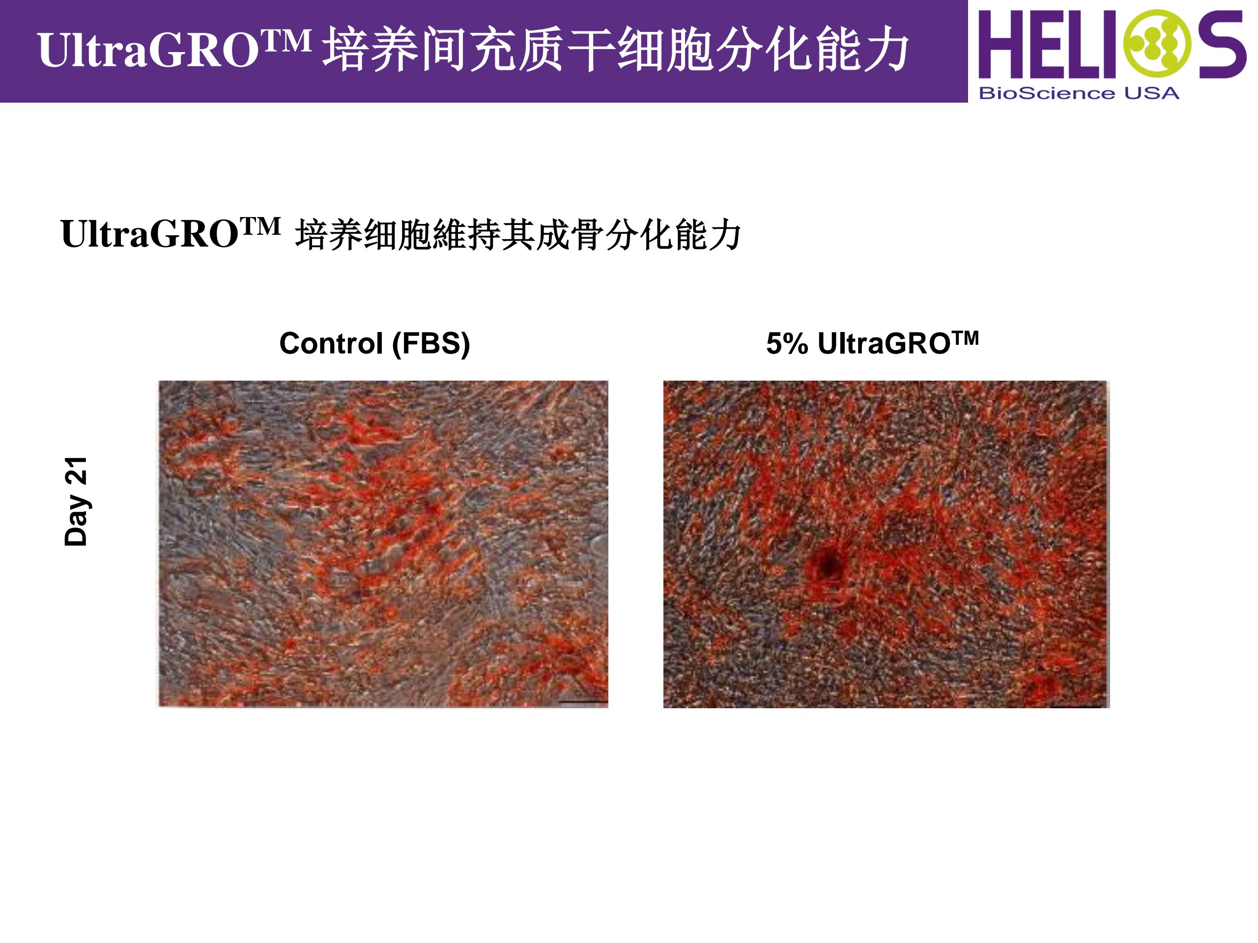 产品细节图片11