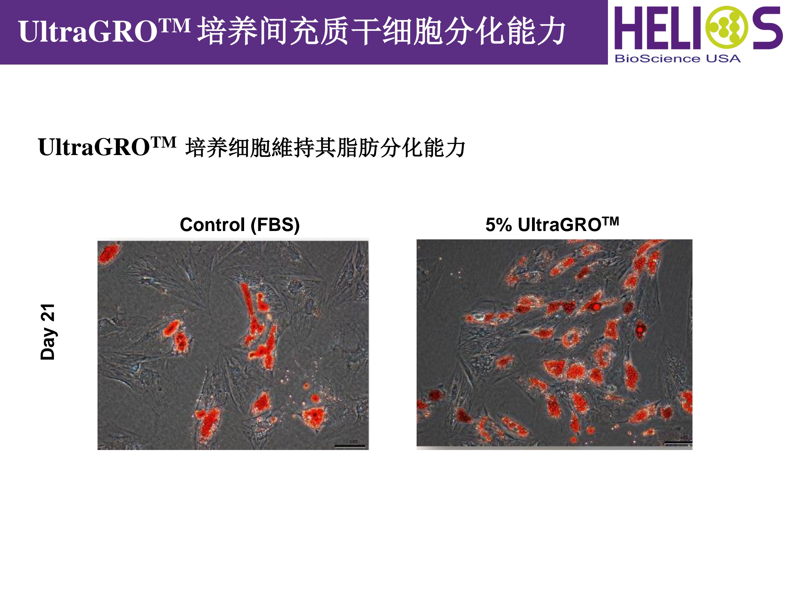 产品细节图片10