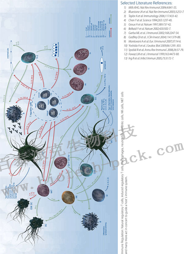 免疫调节相关因子