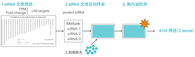 功能性靶点筛选如何实现“弯道超车”，基于 RNAi 的高内涵筛选技术了解一下！
