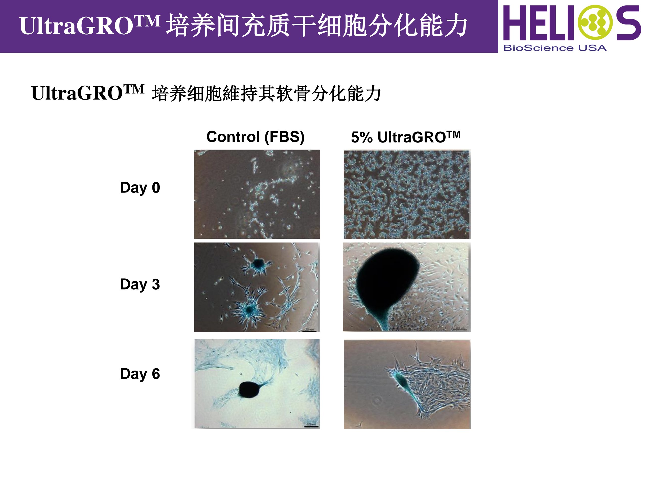 产品细节图片12