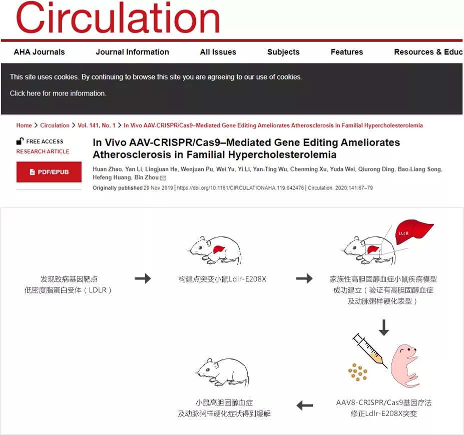 小鼠疾病模型构建与药物临床前评价研究的思考