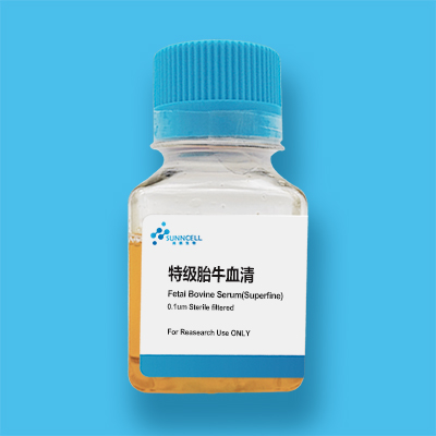 【常见问题】胎牛血清在细胞培养中有什么好处？