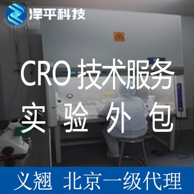 免疫印跡Western Blot檢測實驗外包技術服務CRO