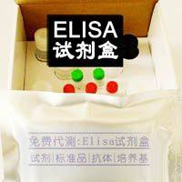 人（PP）Elisa試劑盒
