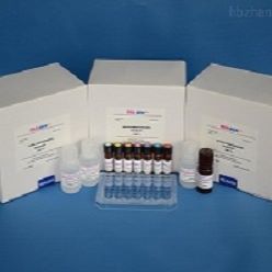 大鼠基質金屬蛋白酶9/明膠酶B(MMP-9/Gelatinase B)ELISA試劑盒