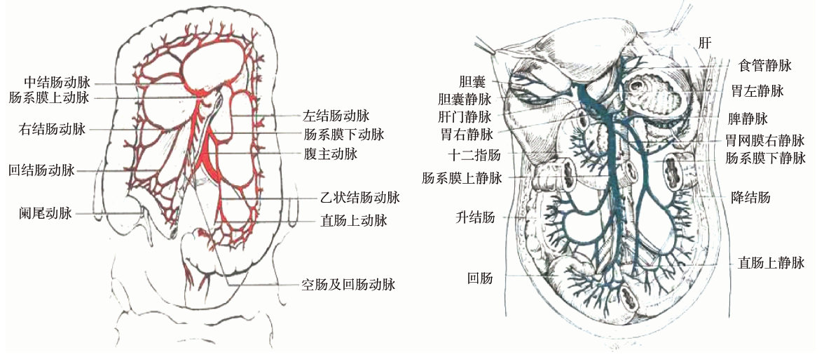 图片预览