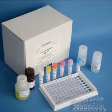 兔肌钙蛋白Ⅰ(Tn-Ⅰ)ELISA试剂盒