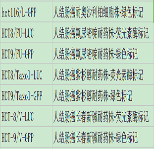 NCI-H446-LUC人小细胞肺癌细胞-荧光素酶标记(附S