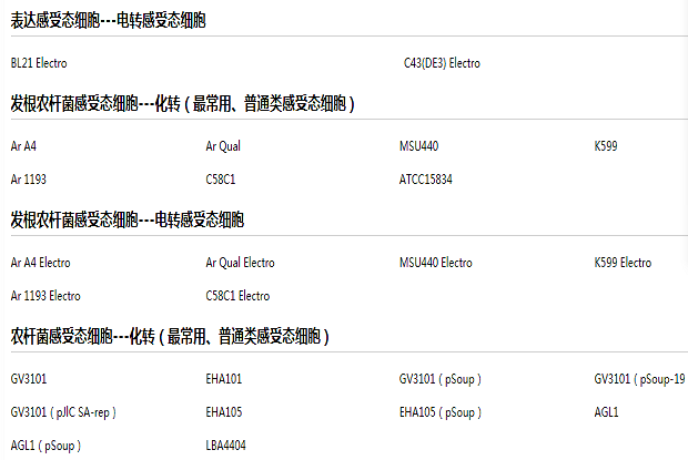 XL10-Gold 感受态细胞