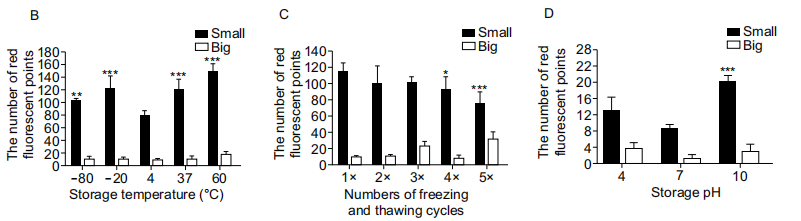 pH、温度和冻融对外泌体数量变化和细胞摄取的影响