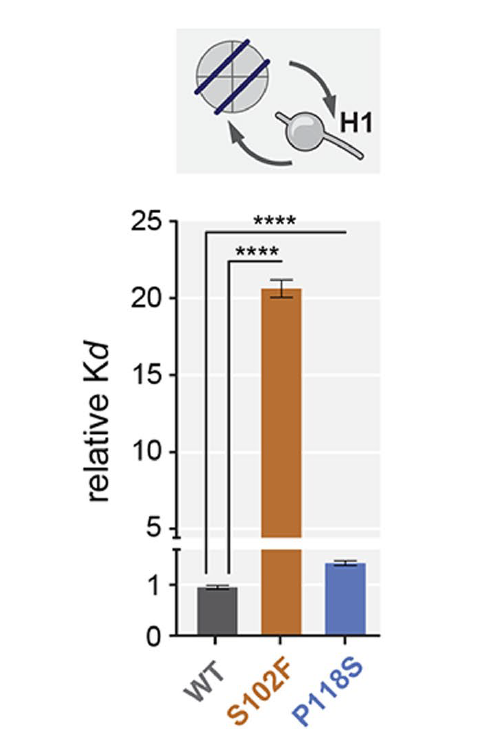  时光匆匆过去，2020年分子互作遗珠莫错过 