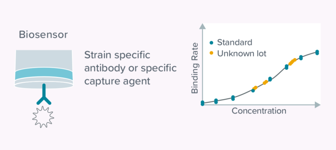 一“图”了解新冠病毒疫苗和治疗方案开发研究
