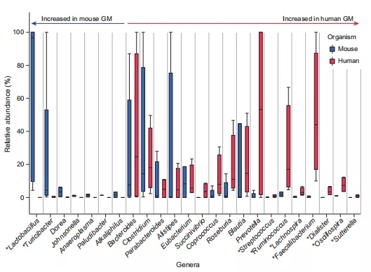 应用无菌小鼠构建肠道微生物人源化小鼠模型