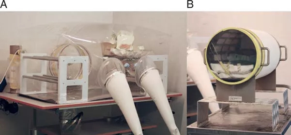 无菌小鼠模型在微生物组学中的应用