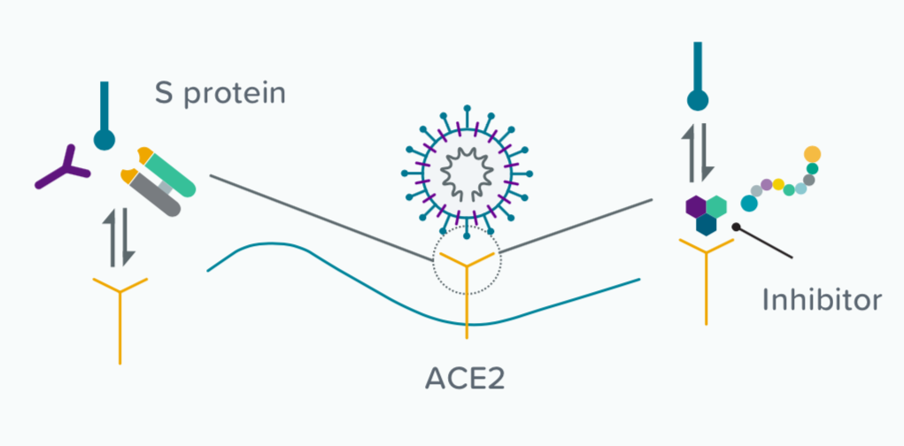 一“图”了解新冠病毒疫苗和治疗方案开发研究