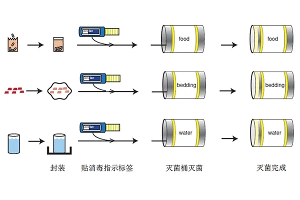 无菌小鼠模型在微生物组学中的应用